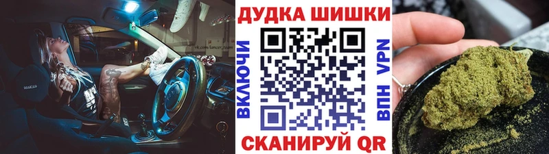 Конопля OG Kush  Купить закладки  Томмот 